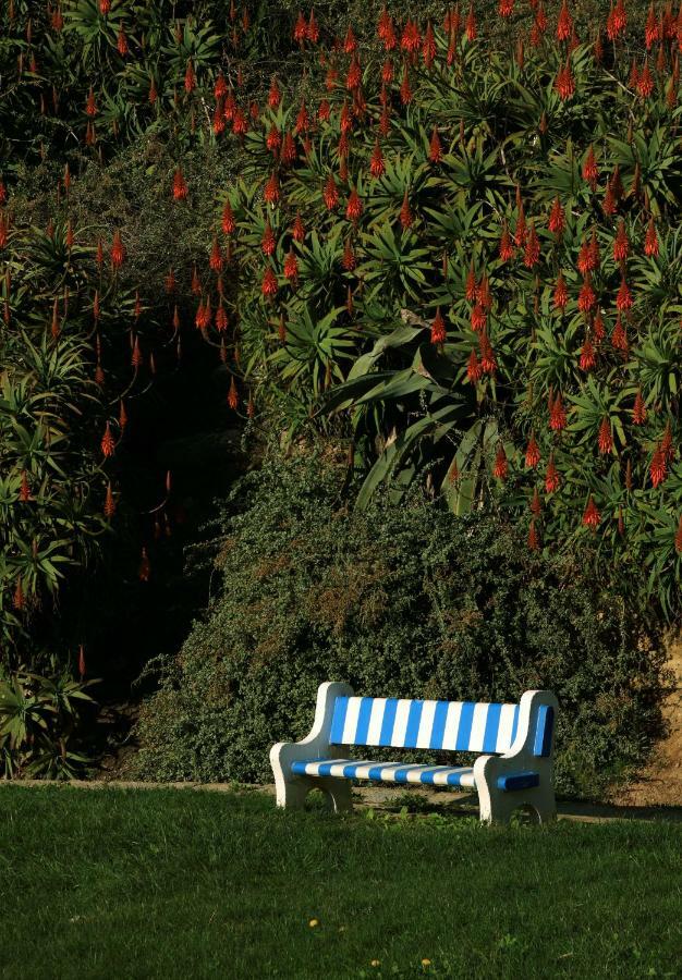 Azenhas do Mar Cottage by Lisbon Dreams Sintra Exterior foto
